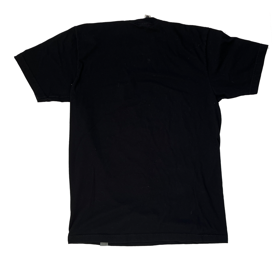 JC Vault - Adult Medium - Cupcake Brains Crossbones '08 (Johnny's Closet)