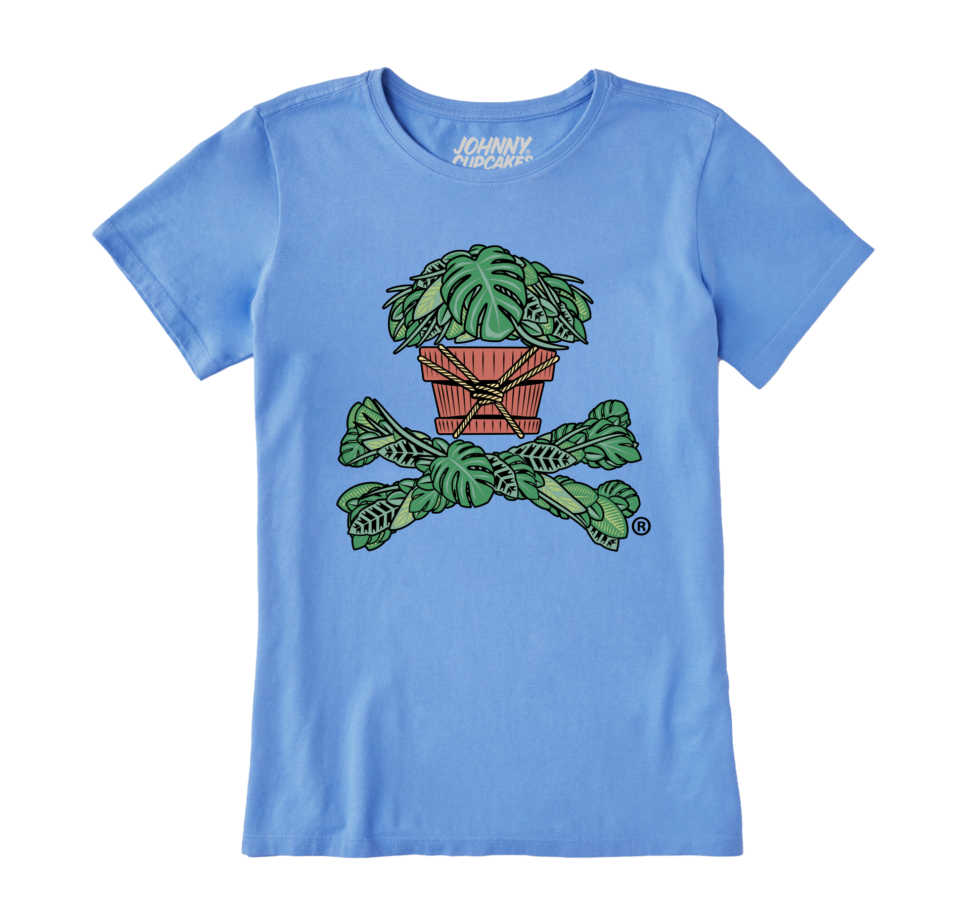 #color_Cornflower Blue