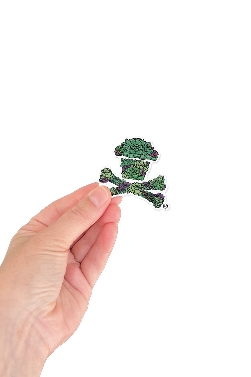 MINI STICKER - Succulent Crossbones