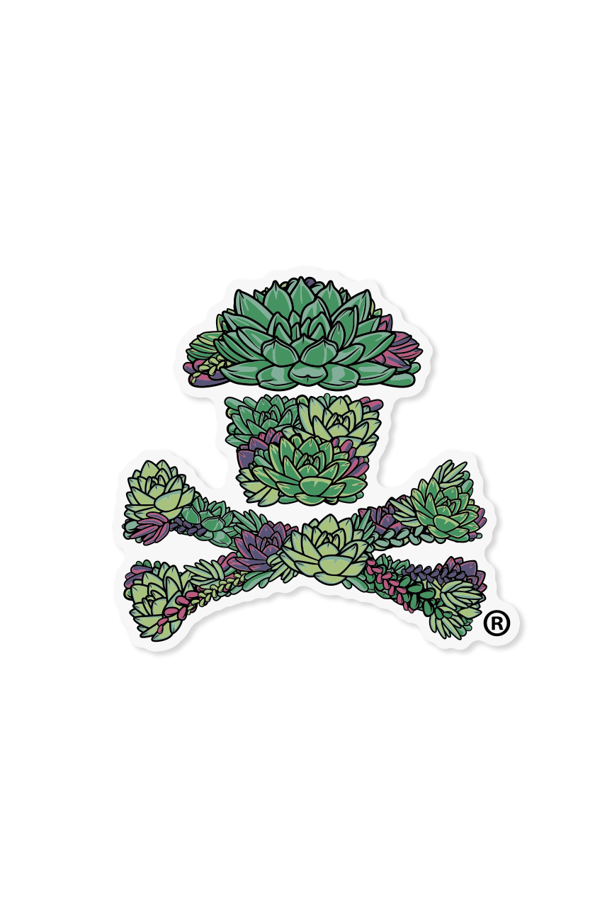 STICKER - Succulent Crossbones