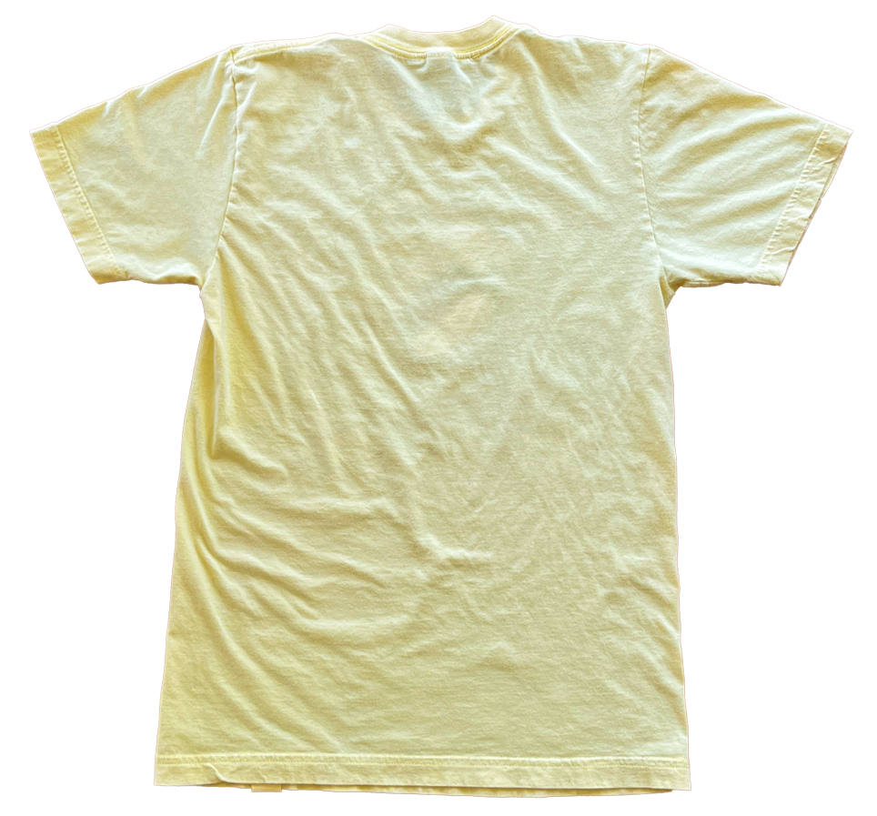 JC Vault - Adult Small - Boston Harbor Crossbones (Vintage JC / Johnny's Closet)