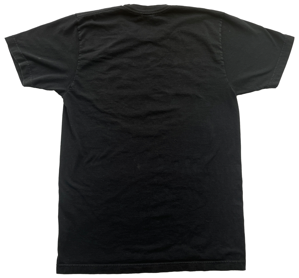 JC Vault - Adult Medium - Boston Skyline (Vintage JC / Johnny's Closet)