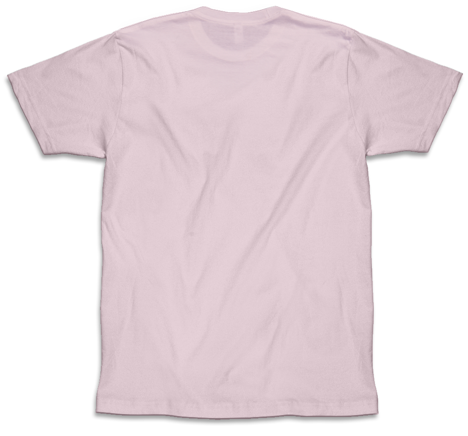 JC Vault - Adult 2XL - Fridge Friends Orchid Variant (Artist Series w/ KennysGifs)